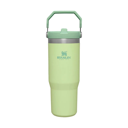 Stanley Iceflow Flip Straw Tumbler