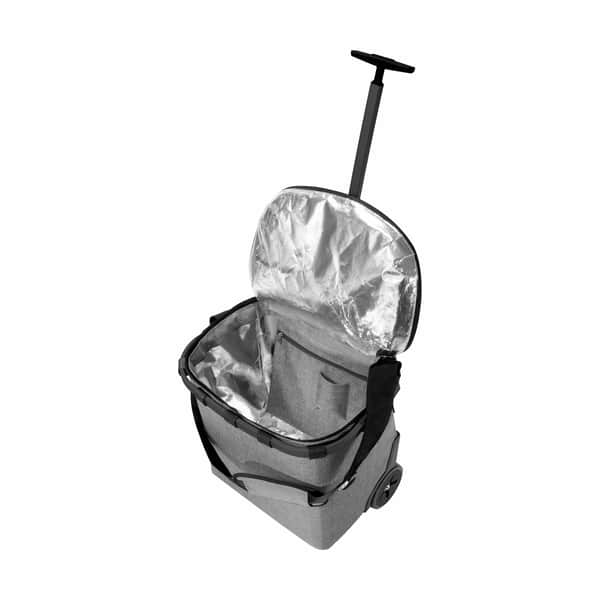 Reisenthel Carrycruiser® ISO